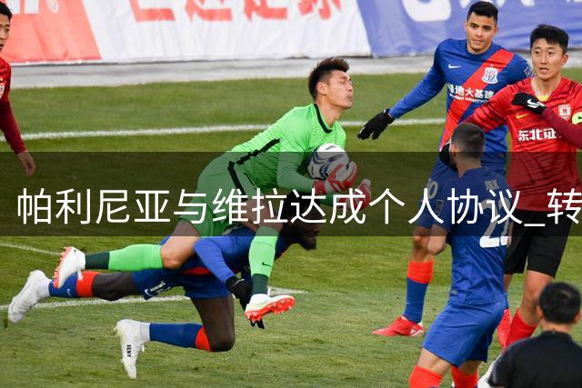 帕利尼亚与维拉达成个人协议 转会谈判即将开启