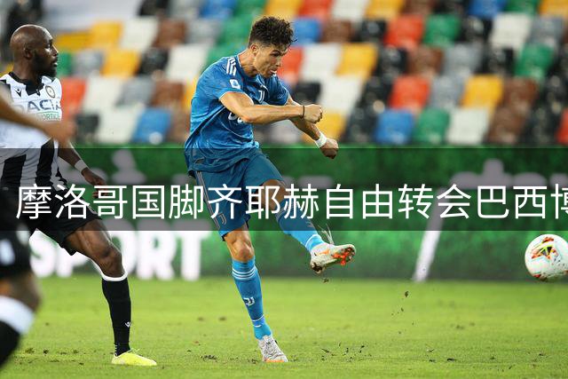 摩洛哥国脚齐耶赫自由转会巴西博塔弗戈