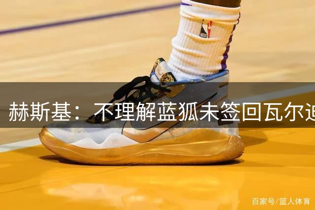 赫斯基：不理解蓝狐未签回瓦尔迪，会毫不犹豫签回